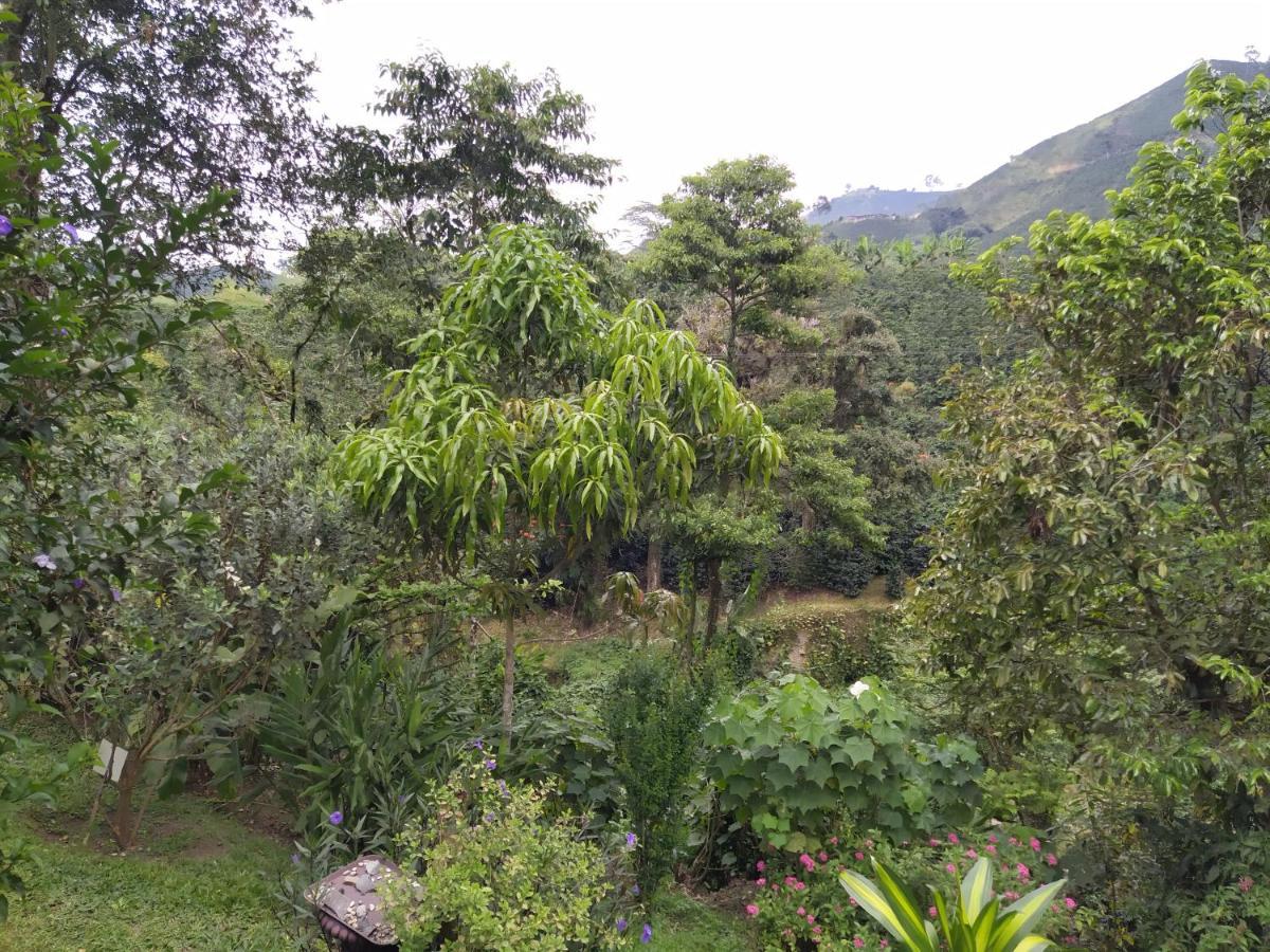Hacienda Guayabal Villa Chinchina Bagian luar foto